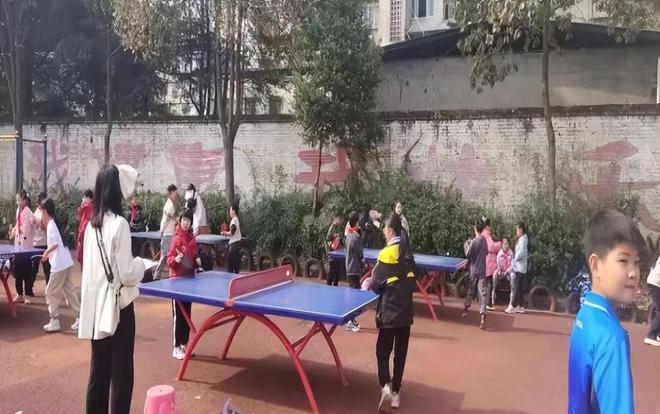 威廉希尔WilliamHill“乒”出未来“赛”出水平-安居一小举行2024年校园乒乓球比赛(图6)