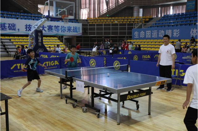 威廉希尔宜宾市南溪区仙源小学校在2024年乒乓球比赛中勇夺佳绩(图2)