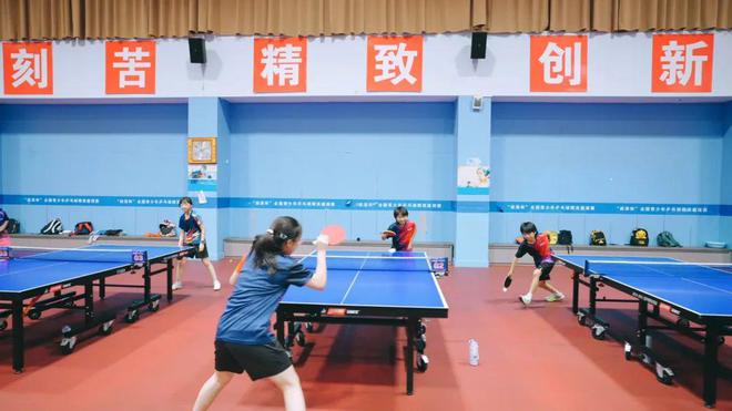 “乒”搏一“夏”！2024年青浦区乒乓球暑期集训营热力四射(图3)
