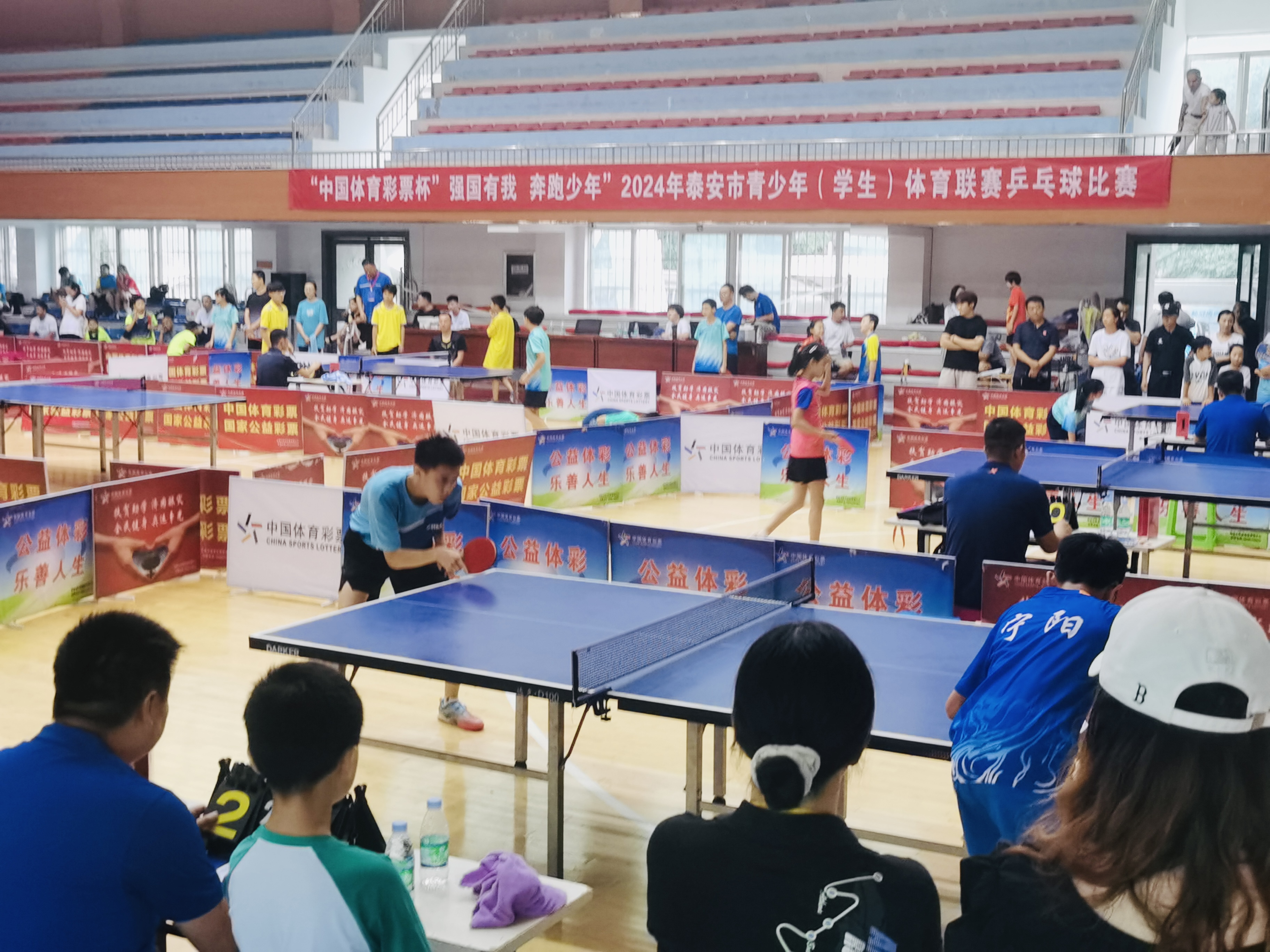 喜报！泰山学院附属中学在2024年泰安市青少年(学生)体育联赛乒乓球比赛中喜获佳绩(图2)