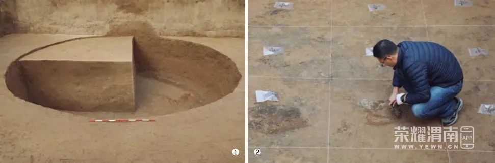 陕西一地发现11座唐代粮仓！(图2)