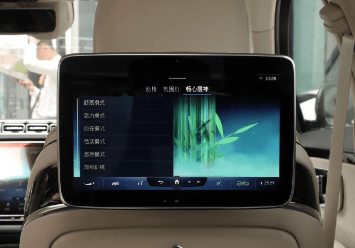 天生无畏的2024款奔驰迈巴赫S4804MATIC(图4)