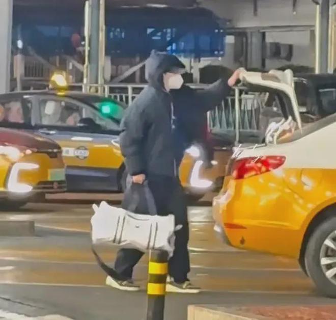 心疼王曼昱乒超联赛现场带病为队友加油樊振东的选择让人迷茫(图8)
