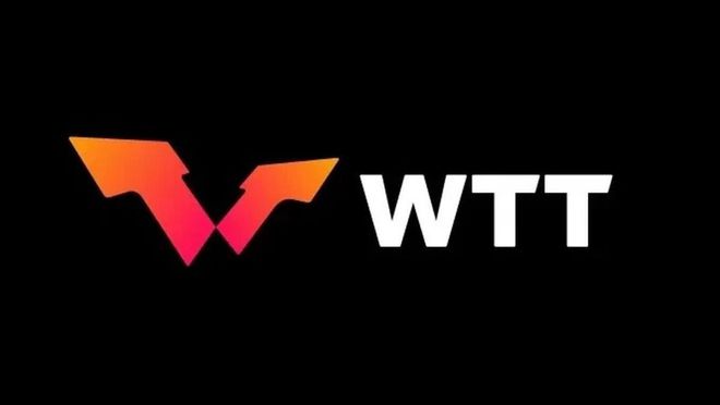 WTT神秘商人与隐秘的股权变更(图1)