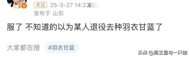 乒乓粉丝可以在任何一个话题下面开战包括羽衣甘蓝(图10)