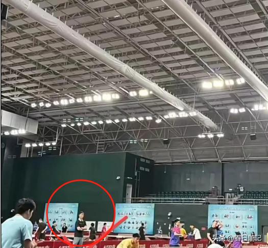 威廉希尔WilliamHill曝国乒封训提前结束王励勤现场监督成绩流出孙颖莎太意外(图5)