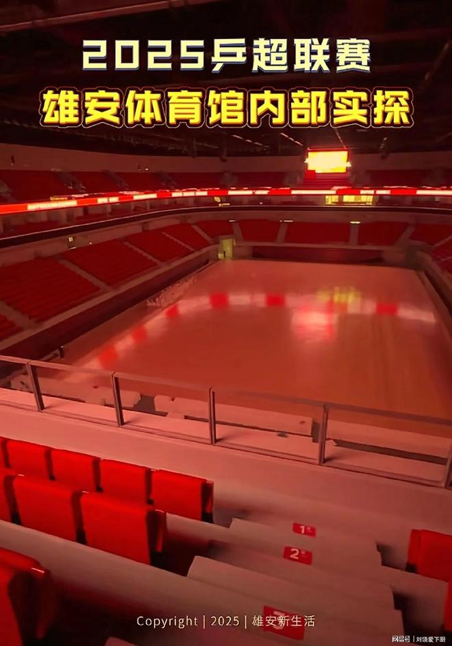 国乒新动态：樊振东加盟德甲邱贻可直播孙颖莎云见面(图17)