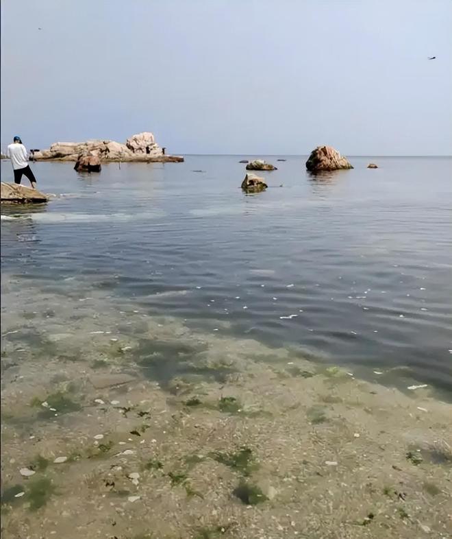 泰国再爆“华人”命案女性尸体被装箱沉湖30斤哑铃成破案关键(图16)