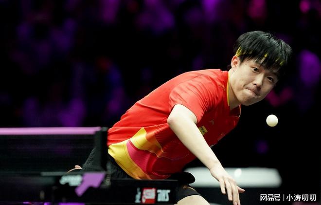 14日中央5台直播乒乓球时间表：CCTV5播王楚钦战张禹珍孙颖莎内(图6)