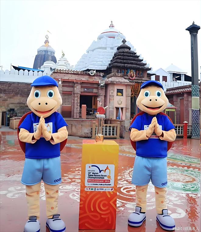 2025年乒乓球亚锦赛：国乒队铁定包揽男团、女团冠军(图2)