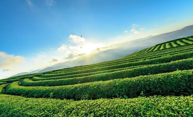 六十岁以后如果还想多活几年；就死死记住这四句话！(图1)