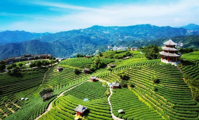 六十岁以后如果还想多活几年；就死死记住这四句话！(图2)