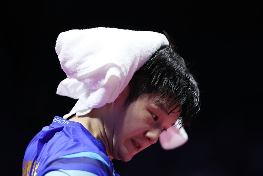 全运会丨樊振东：469天后王者归来(图5)