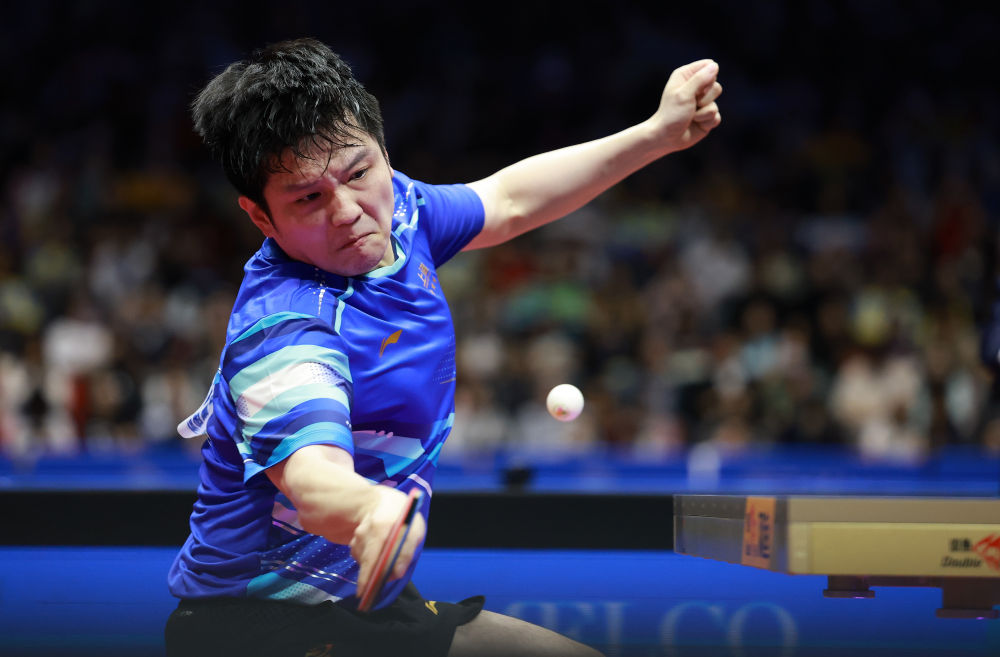 全运会丨樊振东：469天后王者归来(图6)