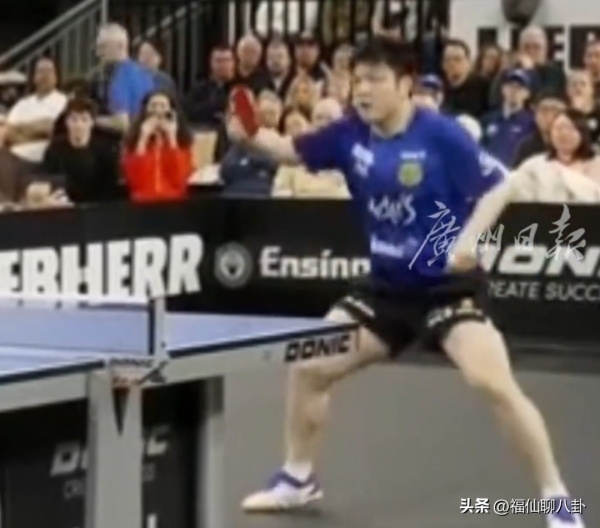 道尽十余年竞技生涯的通透！樊振东说现在打比赛都是美好回忆(图3)