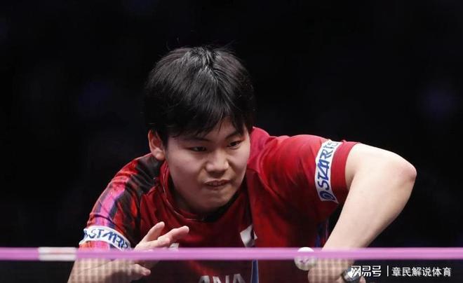 威廉希尔国乒教练重新分配！莎头被重点照顾蒯曼失望樊振东也有教练(图34)