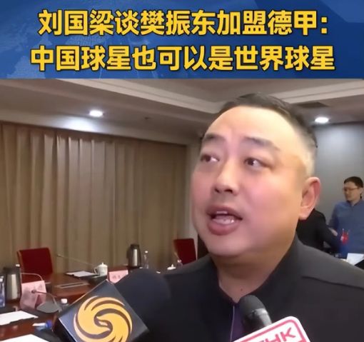 多特蒙德为他破61年铁律！樊振东德甲爆红为何国乒参赛仍悬？(图4)