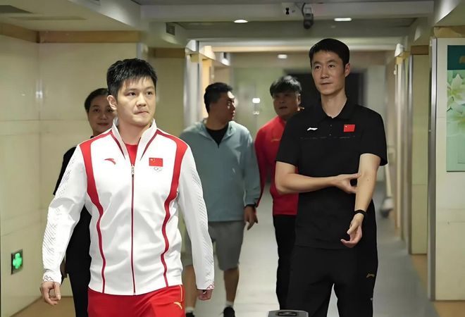 樊振东再缺席世乒赛！许昕一句话揭开真相王皓的确没说错(图6)