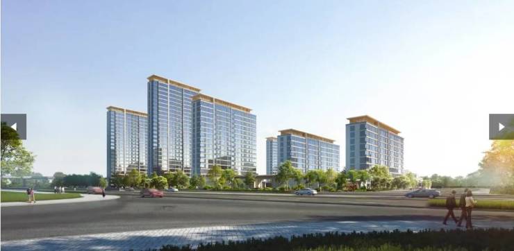 威廉希尔WilliamHill【合肥值得买的新房】保利海上瑧悦新房周边配套-学区(图5)