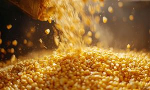 中研网行业资讯_中研普华行业研究网(图11)